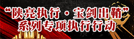 “闪亮执行·宝剑出鞘”系列专项执行行动